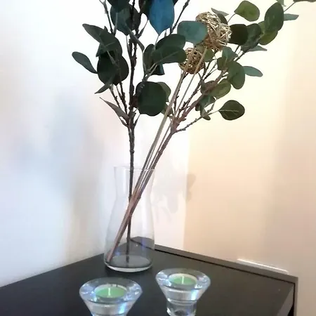 韦加公寓 公寓